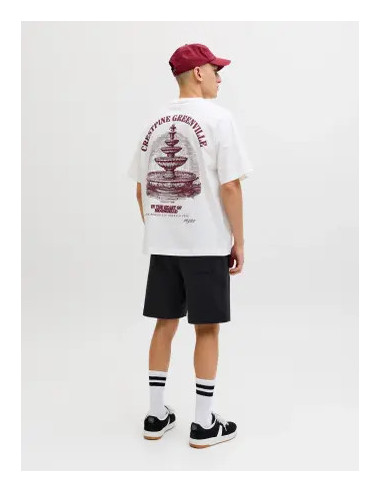JPSTKARL NORREBRO SWEAT SHORTS