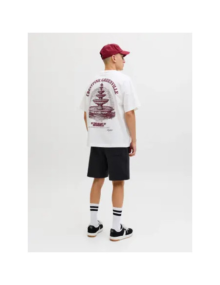 JPSTKARL NORREBRO SWEAT SHORTS